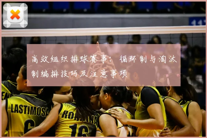 高效组织排球赛事：循环制与淘汰制编排技巧及注意事项